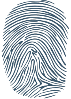 Palmistry Arch Fingerprint