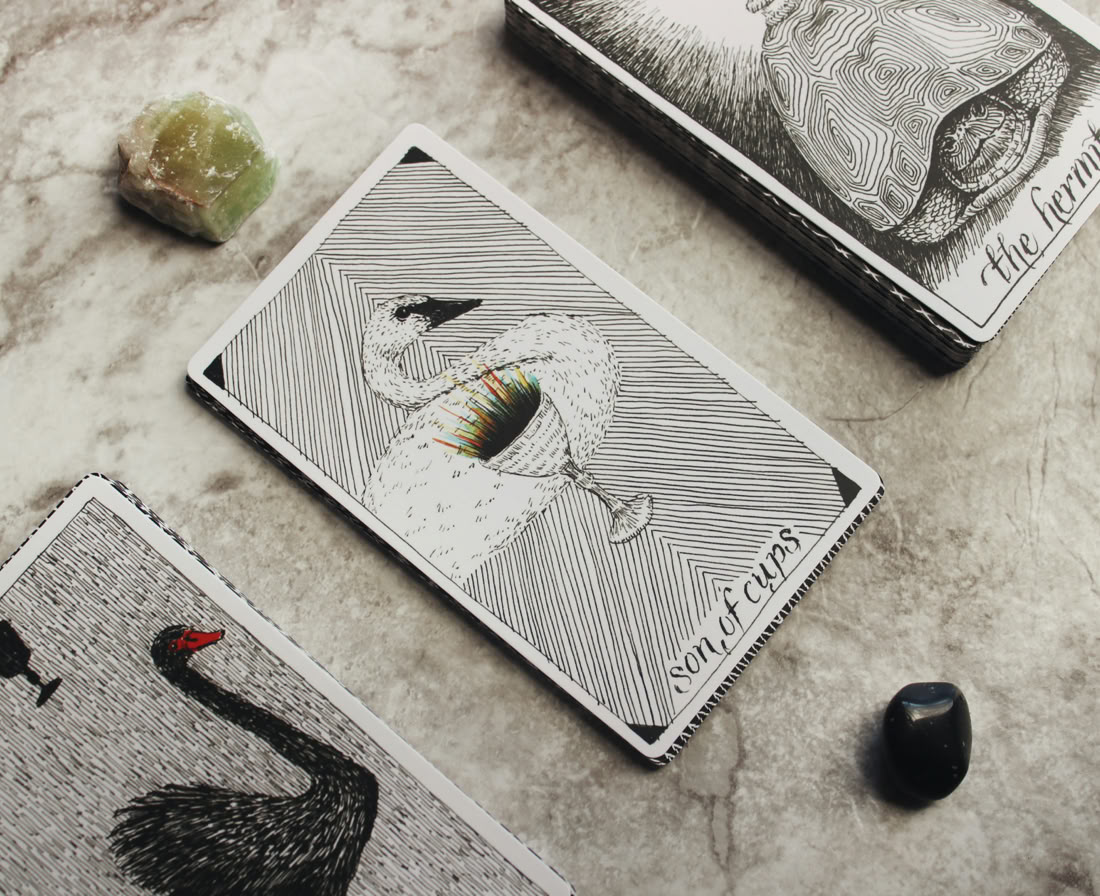 tarot cards on display